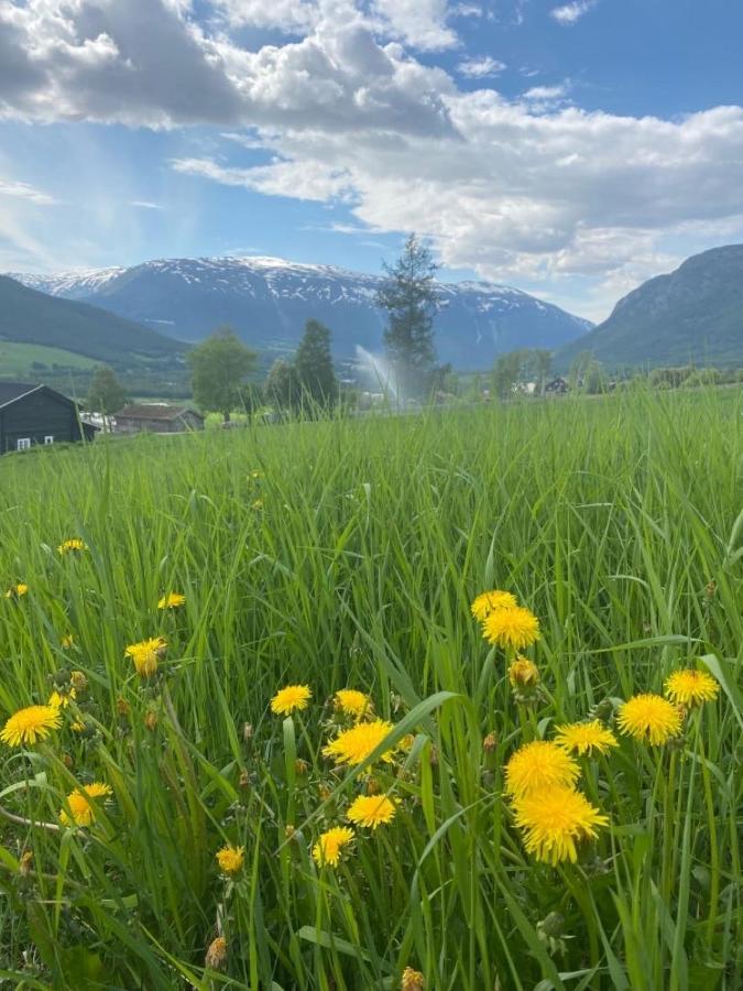 Stort Og Autentisk Hus I Skjak - Kort Vei Til Lom!别墅 外观 照片